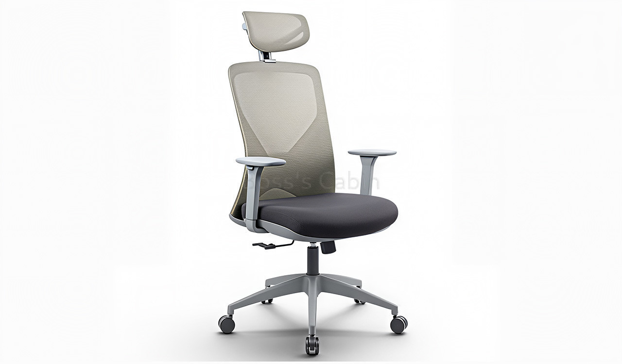 ‘Fanta’ Gray Frame Office Chair with Adjustable Headrest